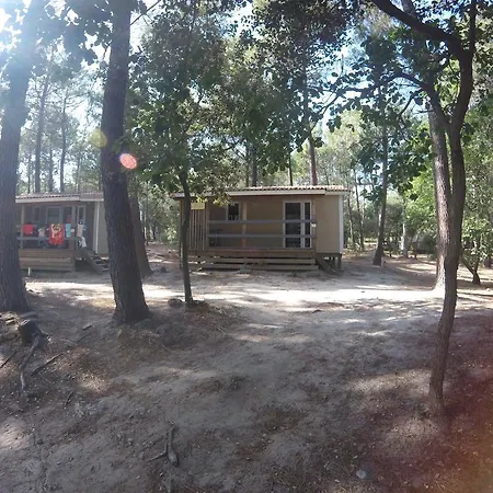 キャンプ場 La Simioune En Provence